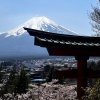 Cooperation with Toyo University